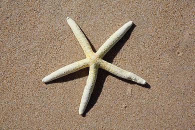 蜗牛游戏庆祝方舟系列游戏重要里程碑及全新内容发布